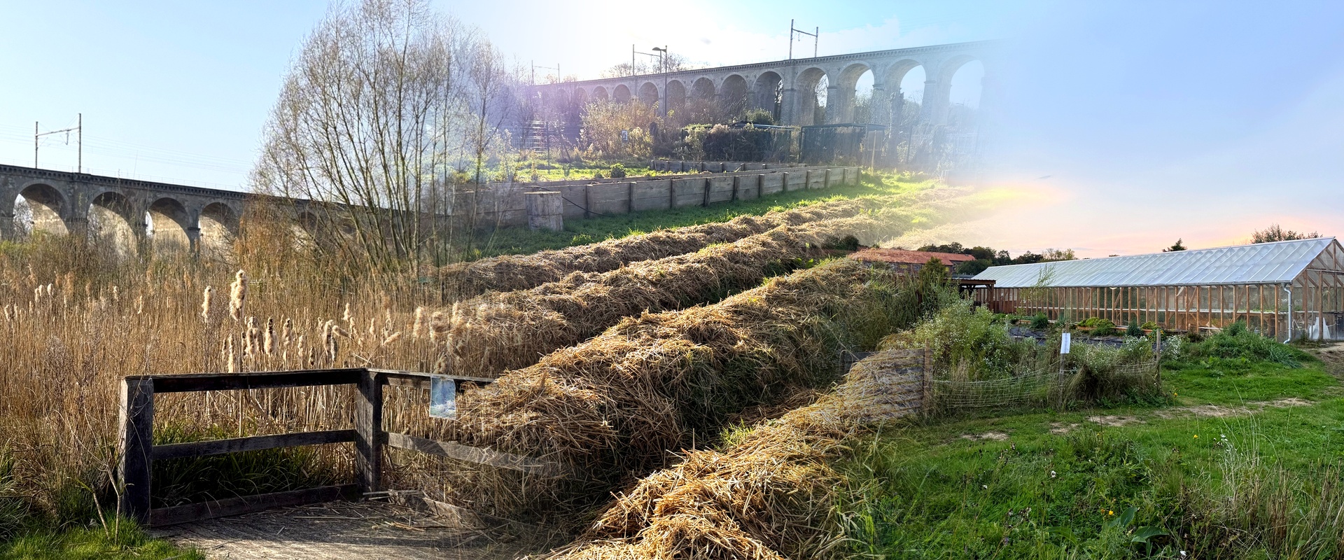 Vue aérienne du jardin aquaponique Jaden à Chantilly
