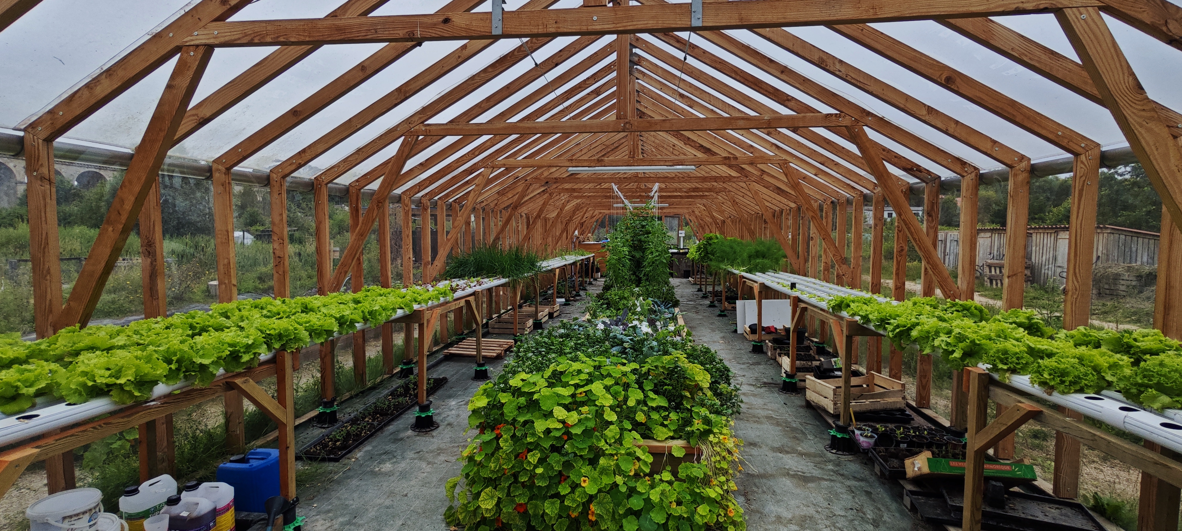 🌿 Le Café Jardinage : Édition "Journée au Jardin"